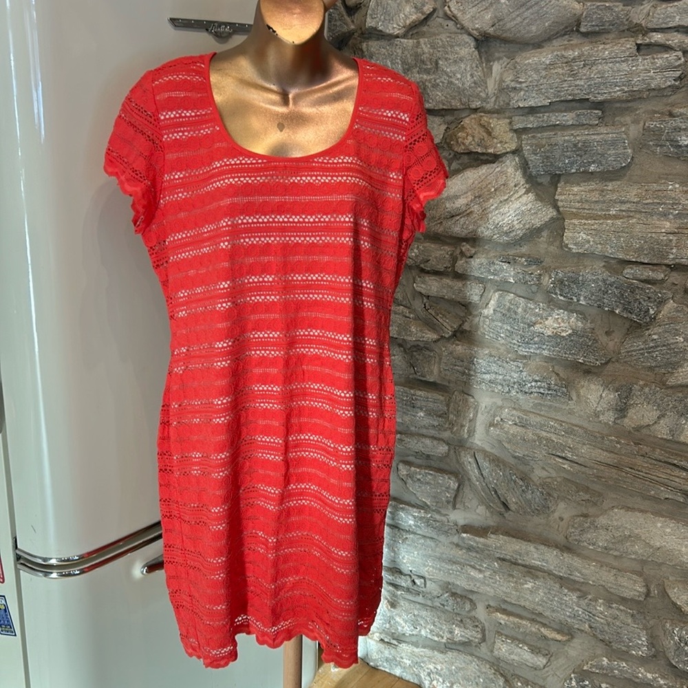 Lace Short Sleeve Dress